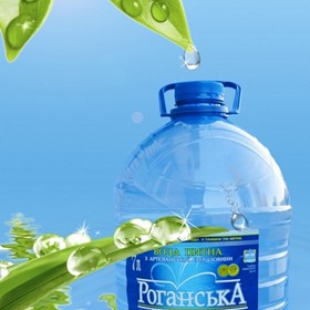 ПОЛИГРАФИЯ, ФИРМЕННЫЙ СТИЛЬ:  ТМ "Роганская"